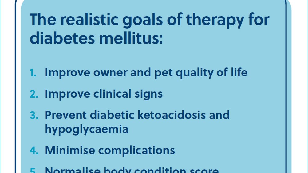 Figure 1.
Realistic goals of therapy for dogs and cats with diabetes mellitus. Adapted from Niessen et al (2022).