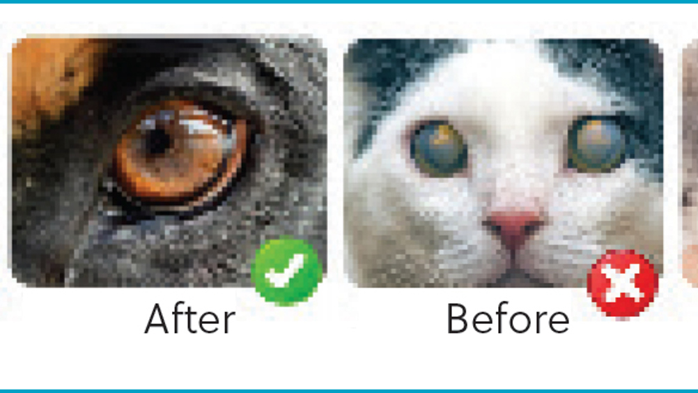 Figure 1. Images available in online stores claiming positive results with the use of ‘cataract eyedrops’ (Amazon, 2024). Note the after photos are not the same patients as the before photos.