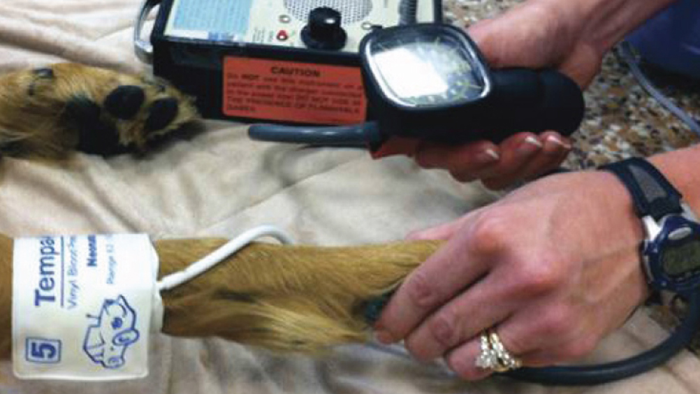 Figure 1. Doppler ultrasound device.