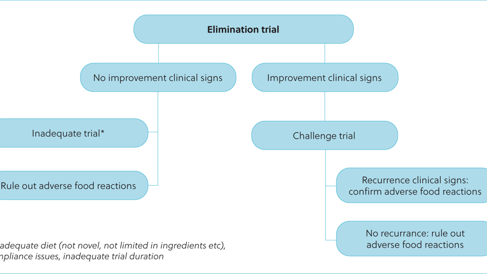 Figure 1. Description of the elimination and challenge trial.