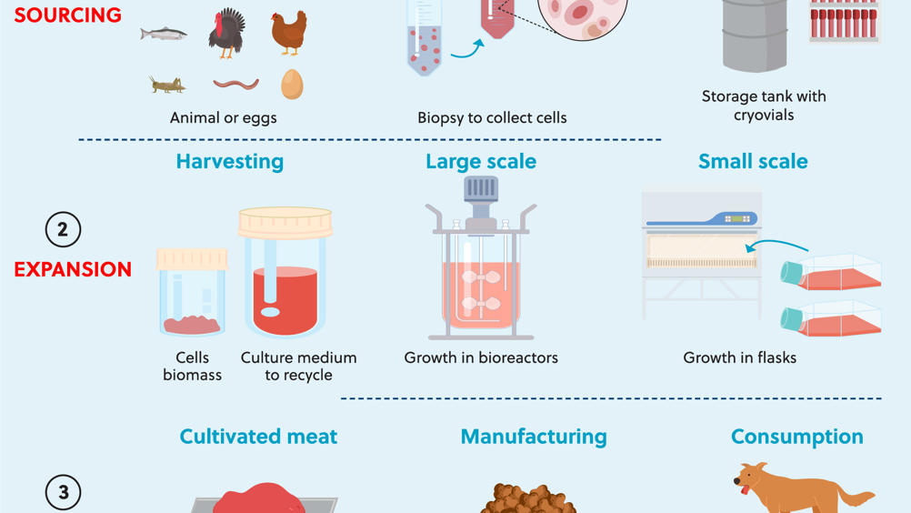 Figure 1. Production of cultivated meat-based pet food.
